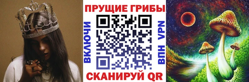 Галлюциногенные грибы Psilocybine cubensis  Макаров 
